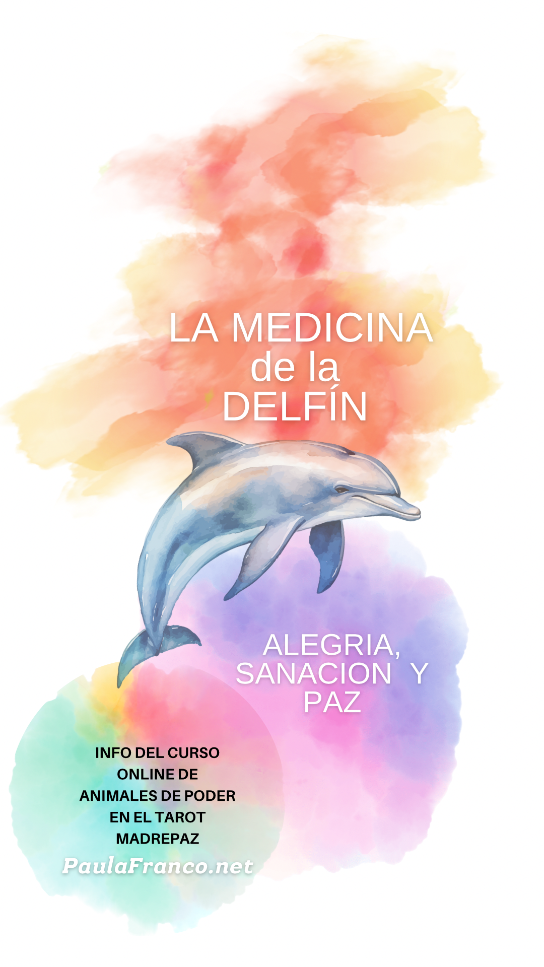 La medicina del delfín como animal de poder chamanismo femenino por paula franco