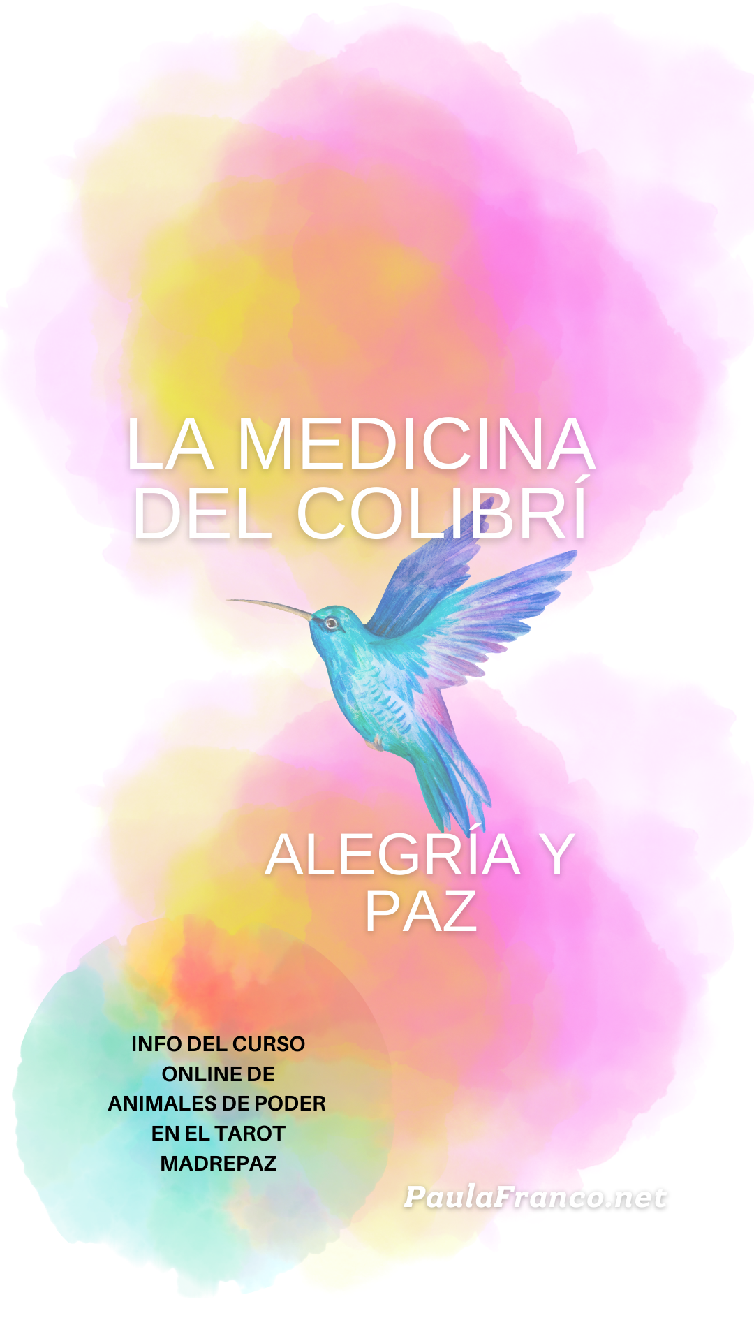 La medicina del Colibrí como animal de poder por paula Franco