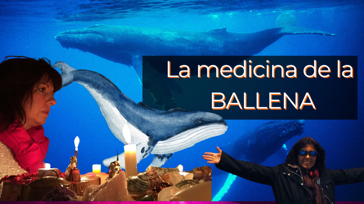 LA BALLENA COMO ANIMAL DE PODER