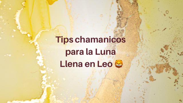 Tips chamánicos para la Luna Llena en Leo ✨🦁

La Luna Llena en Leo nos enciende por dentro, avivando nuestro fuego sagrado y recordándonos nuestro poder creador. Es un momento para honrar el corazón,