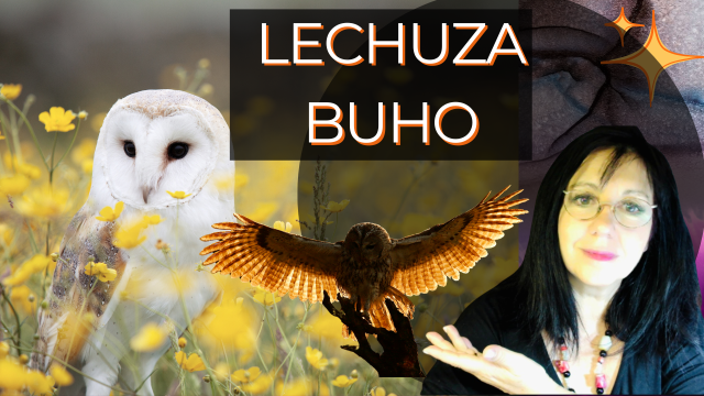 LA LECHUZA COMO TU ANIMAL DE PODER 🪷