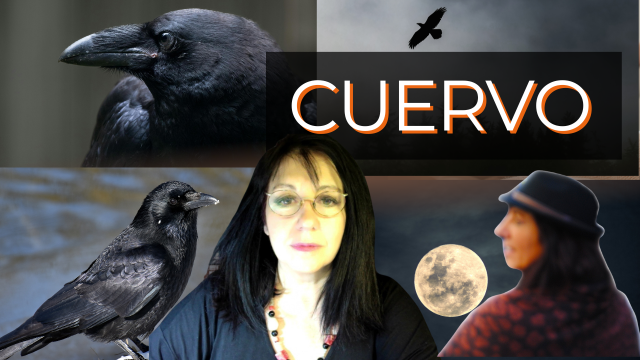 El CUERVO COMO ANIMAL DE PODER