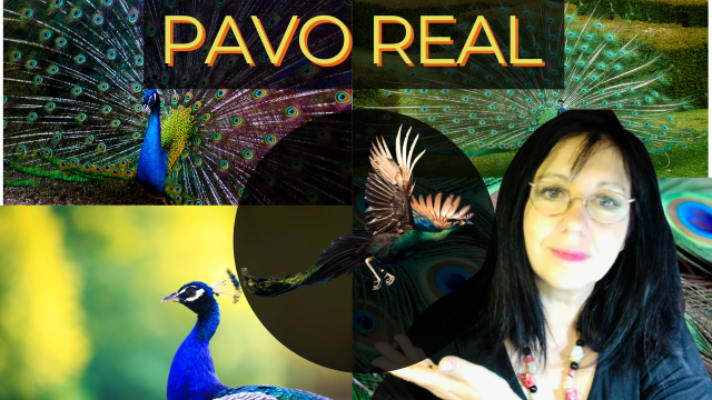 El PAVO REAL COMO ANIMAL DE PODER