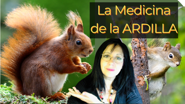 LA ARDILLA COMO ANIMAL DE PODER