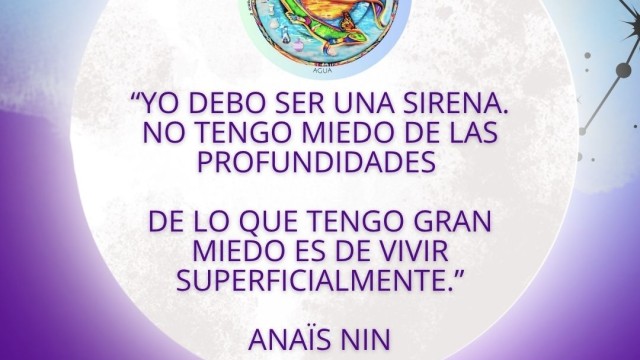 Esta frase me atravesó como una verdad antigua, como un eco de algo que ya sabía mi alma.
Durante un encuentro con mi maestra chamana, Lynn Andrews en Phoenix, una de mis hermanas del círculo me regal